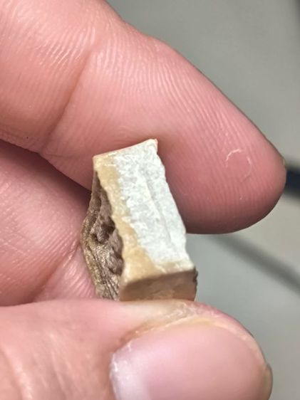 พระปากน้ำ พ.ศ.2523 หลวงปู่หน่าย วัดบ้านแจ้ง พิมพ์เล็ก เนื้อผงเกสร รูปที่ 9