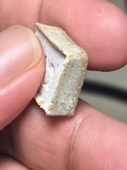 พระปากน้ำ พ.ศ.2523 หลวงปู่หน่าย วัดบ้านแจ้ง พิมพ์เล็ก เนื้อผงเกสร รูปที่ 12