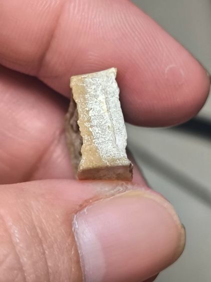 พระปากน้ำ พ.ศ.2523 หลวงปู่หน่าย วัดบ้านแจ้ง พิมพ์เล็ก เนื้อผงเกสร รูปที่ 10