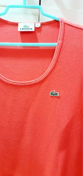 เสื้อ Lacosteของเเท้ รูปที่ 3