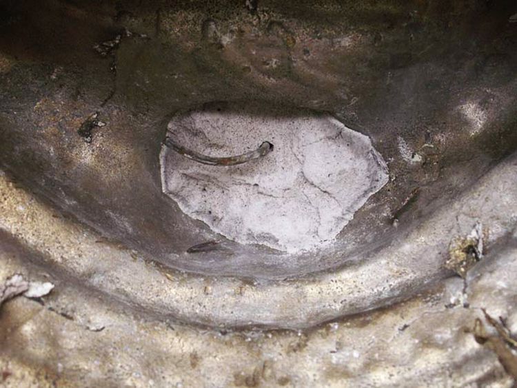 พระบูชา ภปร. วัดบวร พ.ศ. 2508 หน้าตัก 9 นิ้ว ดินฝรั่ง รูปที่ 4