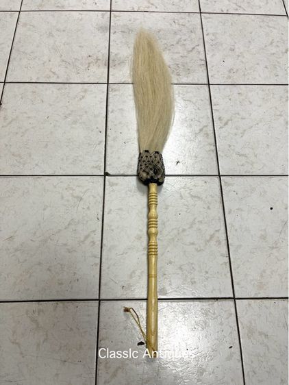 แส้หางม้า สะสม