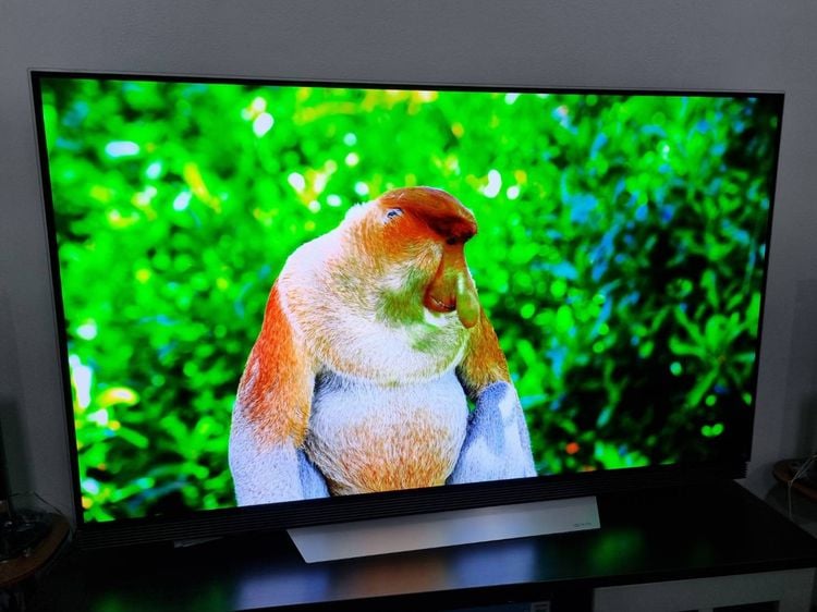 LG 65 นิ้ว 65E7T OLED 4K SMART TV WEBOS ลำโพง Sound Bar จอ Burn in มือสอง รูปที่ 5