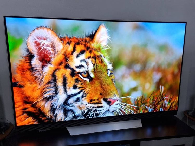 LG 65 นิ้ว 65E7T OLED 4K SMART TV WEBOS ลำโพง Sound Bar จอ Burn in มือสอง รูปที่ 4