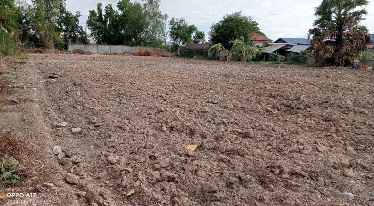 ที่ดิน 272 ตรว.ติดถนนใหญ่ 4 เลน ในเขตเทศบาลหนองหญ้าไซ จ.สุพรรณบุรี ใกล้ตลาดสด 7-11 Lotus ไปรษณีย์ เทศบาล สวนเฉลิมพระเกียรติฯ ไฟฟ้าประปาพร้อม รูปที่ 2