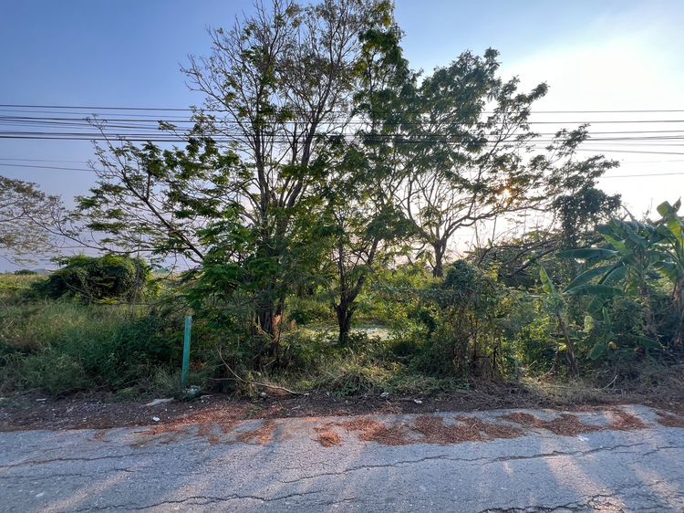 ขายที่ดินเปล่า 150 ตร.วา ใกล้ วัดนราภิรมย์ แอร์ออร์คิด รูปที่ 2