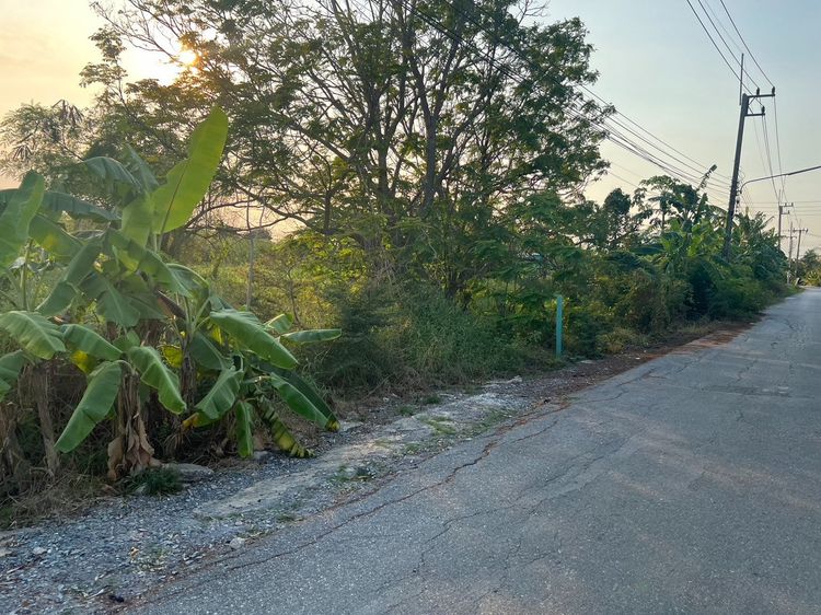 ขายที่ดินเปล่า 150 ตร.วา ใกล้ วัดนราภิรมย์ แอร์ออร์คิด