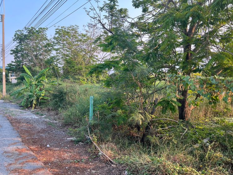 ขายที่ดินเปล่า 150 ตร.วา ใกล้ วัดนราภิรมย์ แอร์ออร์คิด รูปที่ 4