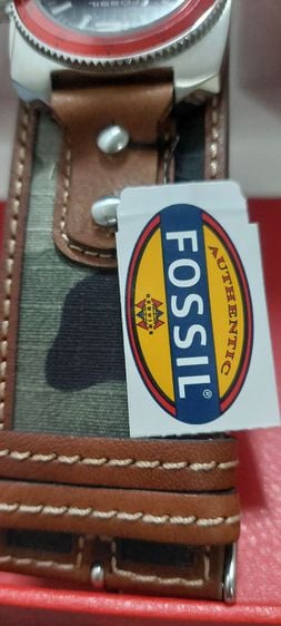 FOSSIL  รูปที่ 5