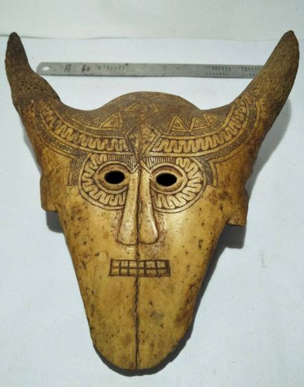Skull Mask Bovine
 รูปที่ 3