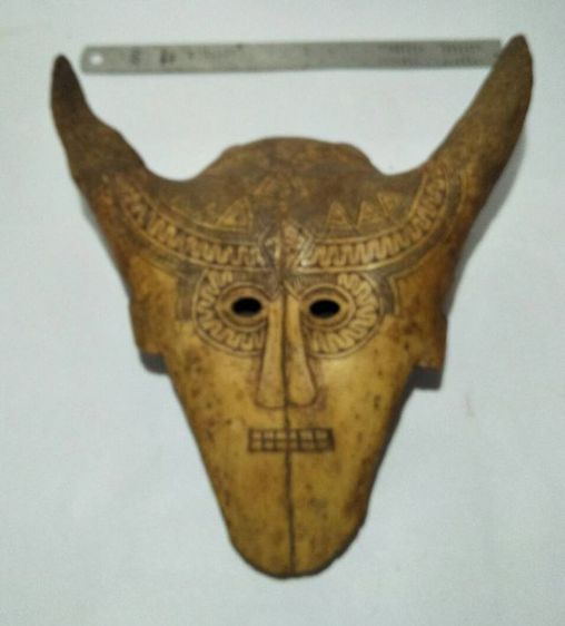 Skull Mask Bovine
 รูปที่ 7