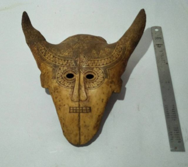 Skull Mask Bovine
 รูปที่ 9