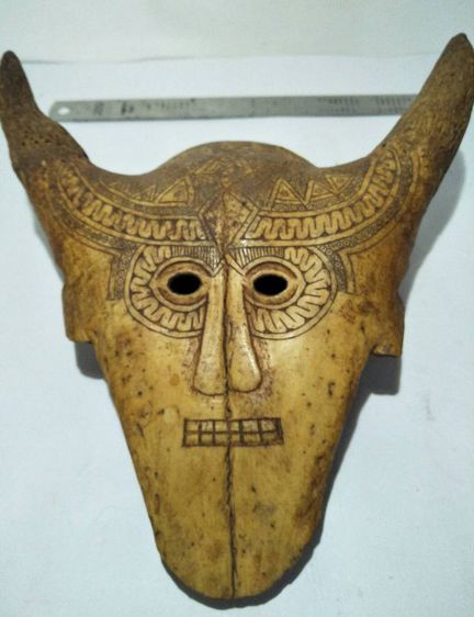 Skull Mask Bovine
 รูปที่ 2