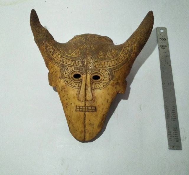 Skull Mask Bovine
 รูปที่ 1