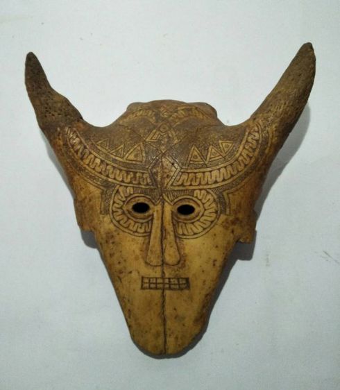 Skull Mask Bovine
 รูปที่ 8