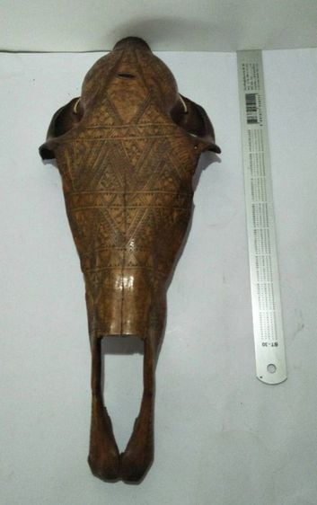 Decorated aboriginal ox skull รูปที่ 4