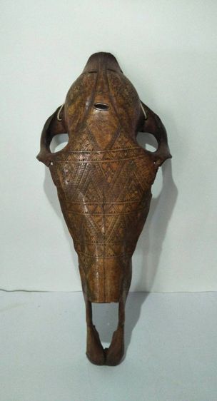 Decorated aboriginal ox skull รูปที่ 3