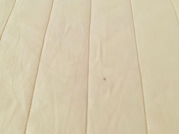 ผ้าปูรองนอน (แบบหนา) ขนาด 5ฟุต สีน้ำตาลอ่อนเย็บลายลอนทั้งผืน ยี่ห้อ FLORA มือสองขายตามสภาพ สินค้าญี่ปุ่น-เกาหลีแท้ รูปที่ 3