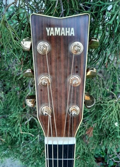 guitar Yamaha FG-400M รูปที่ 3