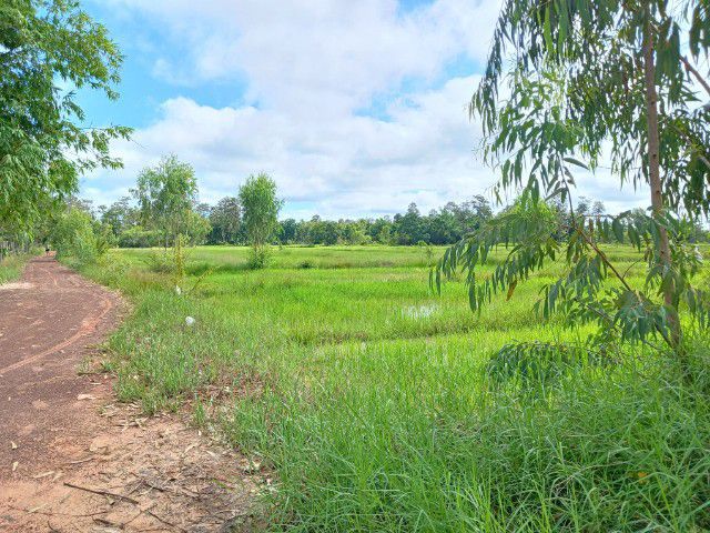 ขายที่ดิน16ไร่แปดสิบวาบ้านกุดสระอุดรธานีเจ้าของขายเอง รูปที่ 4