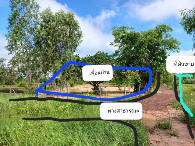 ขายที่ดิน16ไร่แปดสิบวาบ้านกุดสระอุดรธานีเจ้าของขายเอง รูปที่ 2