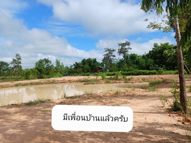 ขายที่ดิน16ไร่แปดสิบวาบ้านกุดสระอุดรธานีเจ้าของขายเอง รูปที่ 3