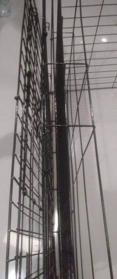 บ้านลูกหมา ลูกแมว รูปที่ 4