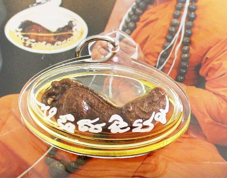 ปลัดหัวชะมดไม้กาฝากมะยม เลี่ยมน้ำมันว่านพลาย หลวงปู่คำพวง  รูปที่ 2