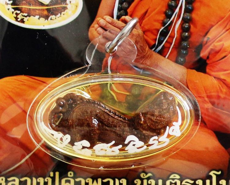 ปลัดหัวชะมดไม้กาฝากมะยม เลี่ยมน้ำมันว่านพลาย หลวงปู่คำพวง  รูปที่ 5
