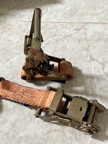 ตะขอรัดกอกแกรก สวีเดน รูปที่ 4