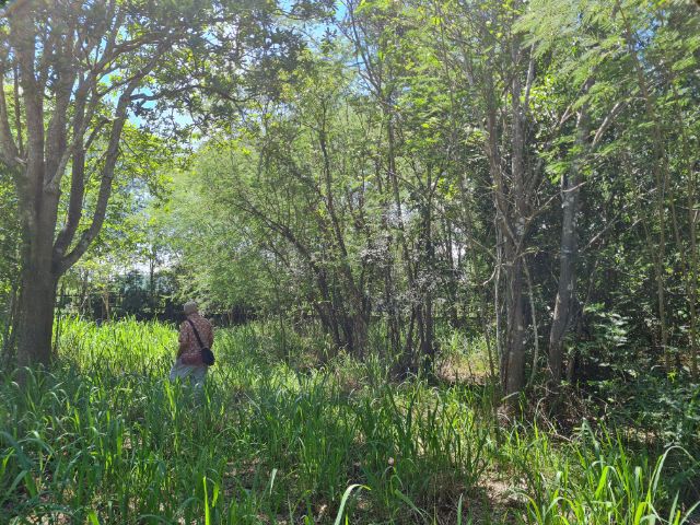 ที่ดินอำเภอหัวหิน รูปที่ 3