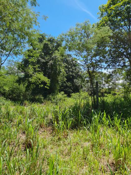 ที่ดินอำเภอหัวหิน รูปที่ 4