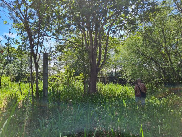 ที่ดินอำเภอหัวหิน