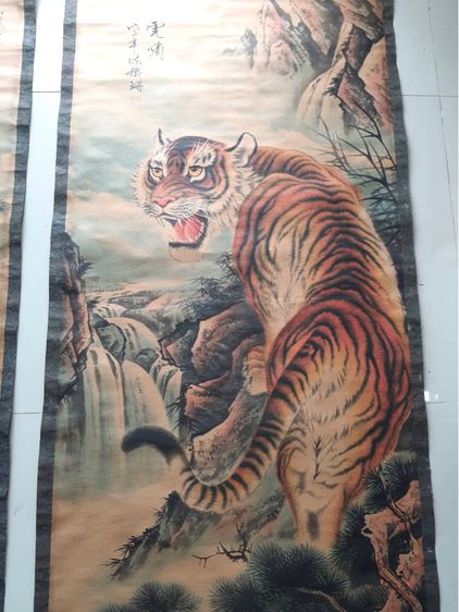 ภาพ เสือ สะสม รูปที่ 5