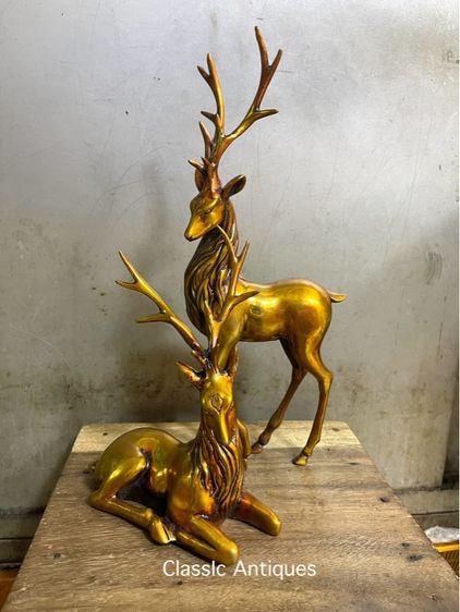กวาง คู่ทองเหลืองสะสมA4 รูปที่ 2