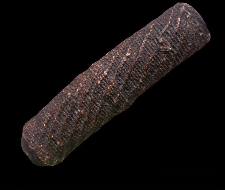 ตะกรุด ถักเชือกทารักเก่าๆ  รูปที่ 4