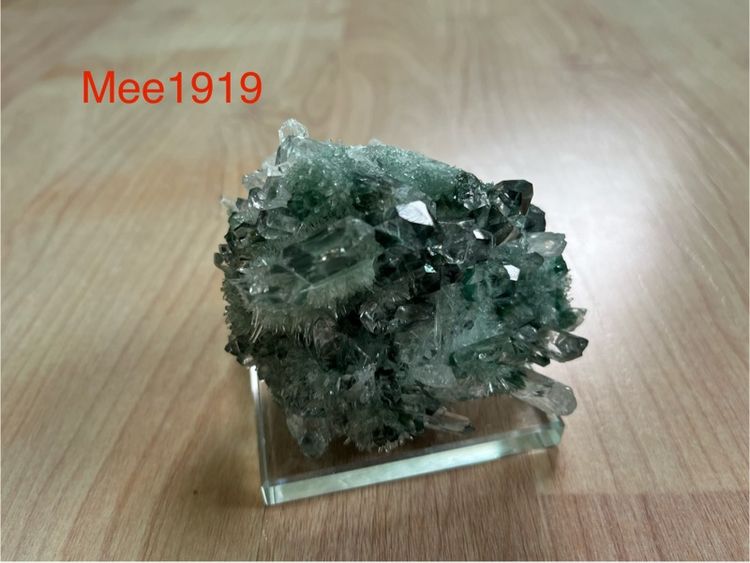 หินควอต เขี้ยวหนุมาน Twinkling Green Phantom Quartz crystal