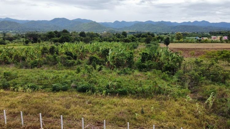 ที่ดินโฉนดครุฑแดง รูปที่ 3