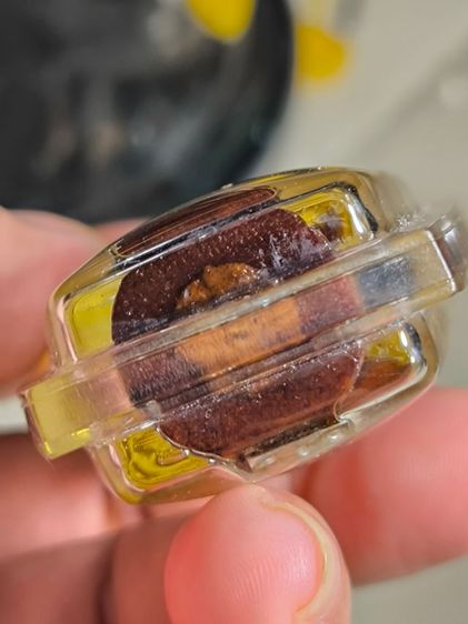 พี่กุมารทองเพชรพรหมคุณ หลวงปู่หงษ์ พรหมปัญโญ ไม้ตะเคียนแกะ จัดสร้าง 50 องค์ รูปที่ 10