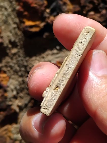 พระสมเด็จ พิมพ์รูปเหมือนสมเด็จโต รุ่นอนุสรณ์ 100 ปี วัดระฆังโฆสิตาราม กทม ปี2515 เนื้อผง ขนาดเท่าองค์จริง ประมาณ 2.6 X 4.1 ซม.รับประกันแท้  รูปที่ 8