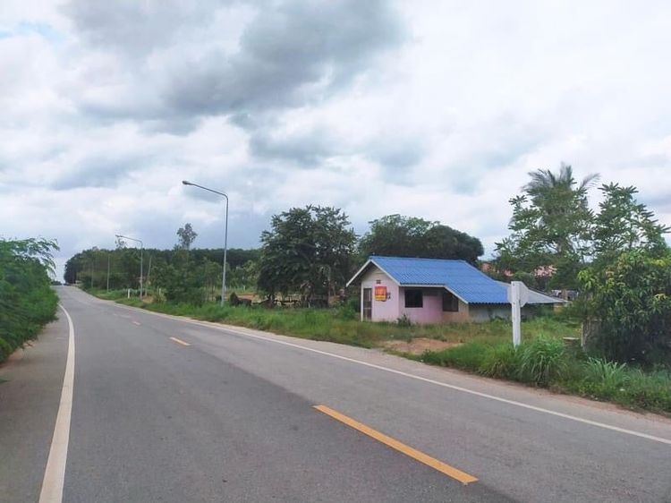 ขายด่วน บ้านติดถนนดำ