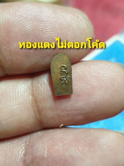 เหรียญนาคปรก พระอาจารย์ปลอด วัดโพธิ์นิมิตร ครบรอบ 80 พรรษา ปี 36 เนื้อเงิน เนื้อนวะ เนื้อทองแดง สภาพสวย เหมาะสำหรับสุภาพสตรี และบุตรหลาน รูปที่ 7