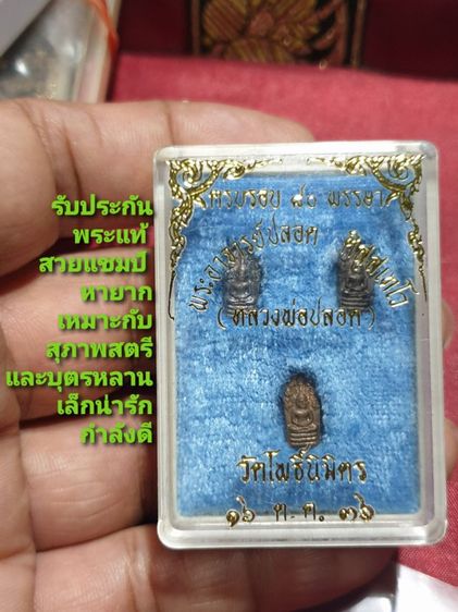 เหรียญนาคปรก พระอาจารย์ปลอด วัดโพธิ์นิมิตร ครบรอบ 80 พรรษา ปี 36 เนื้อเงิน เนื้อนวะ เนื้อทองแดง สภาพสวย เหมาะสำหรับสุภาพสตรี และบุตรหลาน