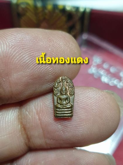 เหรียญนาคปรก พระอาจารย์ปลอด วัดโพธิ์นิมิตร ครบรอบ 80 พรรษา ปี 36 เนื้อเงิน เนื้อนวะ เนื้อทองแดง สภาพสวย เหมาะสำหรับสุภาพสตรี และบุตรหลาน รูปที่ 6