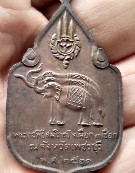 เหรียญสมโภชน์ช้างเผือก ในหลวงรัชกาลที่9 สองเหรียญ นราธิวาส 2520 เพชรบุรี2521 รูปที่ 4
