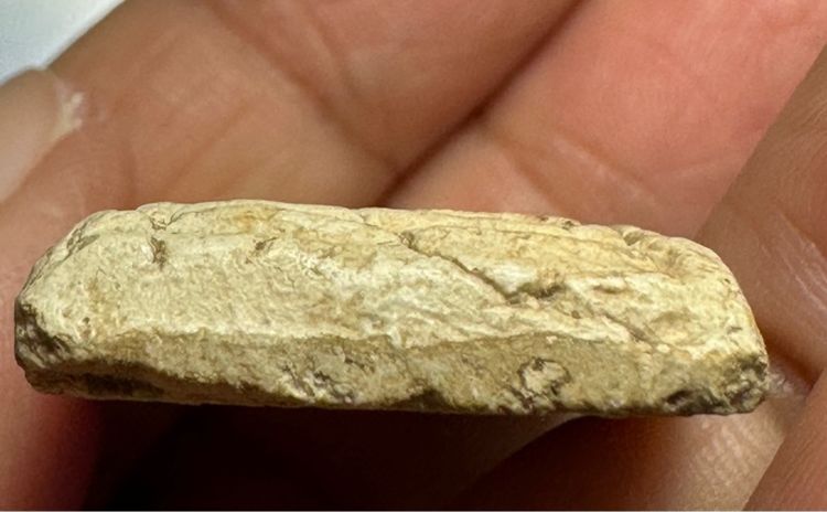 🙏พระสมเด็จบางขุนพรหมพิมพ์ฐานคู่  รูปที่ 5