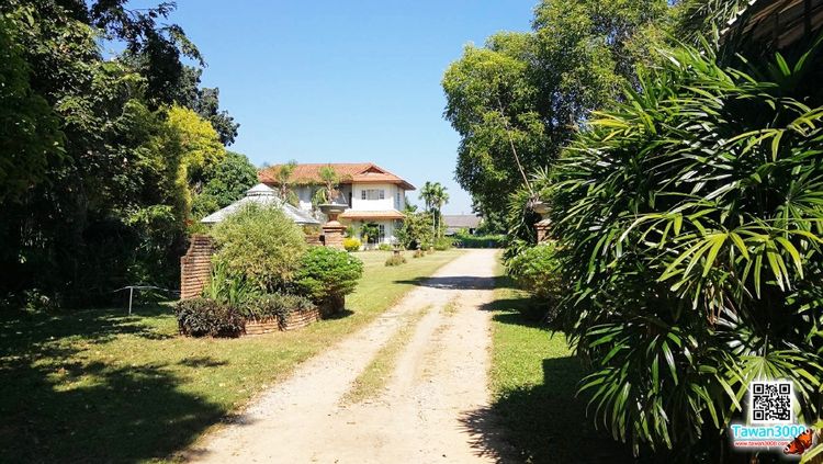 ที่ดิน 6 ไร่ 66 ตรว. พร้อมบ้าน ทรงสวย ทำเลดี ติดถนนซุปเปอร์ไฮเวย์ รอบเมืองเชียงใหม่ (วงแหวน3) รูปที่ 3