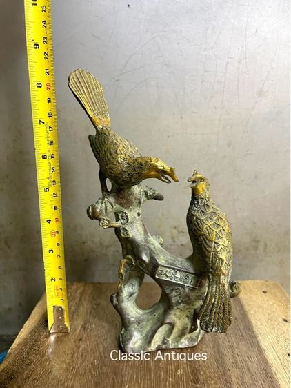 นก คู่ทองเหลืองสะสม รูปที่ 8