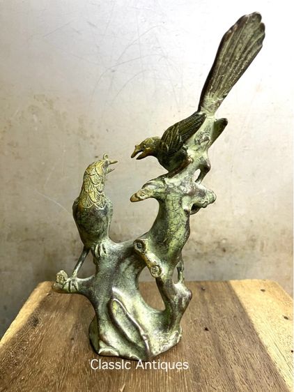 นก คู่ทองเหลืองสะสม รูปที่ 4