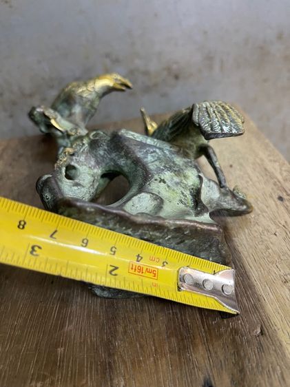 นก คู่ทองเหลืองสะสม รูปที่ 12